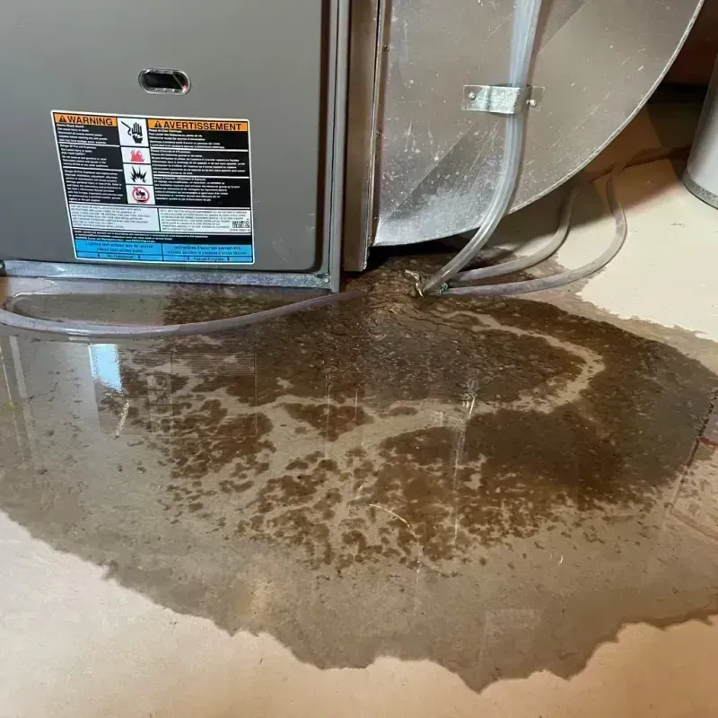 Appliance Leak Cleanup in Boone County, MO